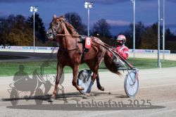 Dateiname=20251026_r08_004_R08_0018.jpg
Dateigröße=282KB
Abmessungen: 1000x667
hinzugefügt am: 29. Oktober 2025 20251026_r08_004_R08_0018.jpg