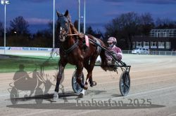 Dateiname=20251026_r08_007_R08_0033.jpg
Dateigröße=276KB
Abmessungen: 1000x667
hinzugefügt am: 29. Oktober 2025 20251026_r08_007_R08_0033.jpg