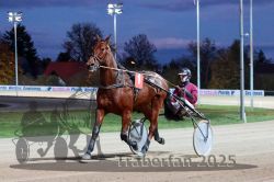 Dateiname=20251026_r08_009_R08_0041.jpg
Dateigröße=282KB
Abmessungen: 1000x667
hinzugefügt am: 29. Oktober 2025 20251026_r08_009_R08_0041.jpg