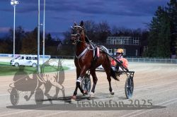 Dateiname=20251026_r08_015_R08_0075.jpg
Dateigröße=295KB
Abmessungen: 1000x667
hinzugefügt am: 29. Oktober 2025 20251026_r08_015_R08_0075.jpg