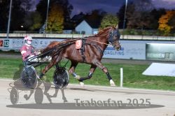 Dateiname=20251026_r08_019_R08_0093.jpg
Dateigröße=268KB
Abmessungen: 1000x667
hinzugefügt am: 29. Oktober 2025 20251026_r08_019_R08_0093.jpg