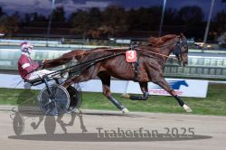 Dateiname=20251026_r08_024_R08_0107.jpg
Dateigröße=277KB
Abmessungen: 1000x667
hinzugefügt am: 29. Oktober 2025 20251026_r08_024_R08_0107.jpg