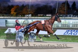 Dateiname=20251026_r08_029_R08_0122.jpg
Dateigröße=277KB
Abmessungen: 1000x667
hinzugefügt am: 29. Oktober 2025 20251026_r08_029_R08_0122.jpg