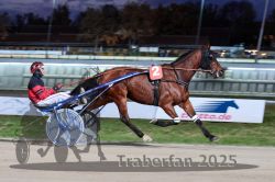 Dateiname=20251026_r08_032_R08_0132.jpg
Dateigröße=287KB
Abmessungen: 1000x667
hinzugefügt am: 29. Oktober 2025 20251026_r08_032_R08_0132.jpg