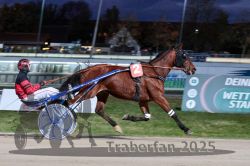 Dateiname=20251026_r08_033_R08_0135.jpg
Dateigröße=287KB
Abmessungen: 1000x667
hinzugefügt am: 29. Oktober 2025 20251026_r08_033_R08_0135.jpg