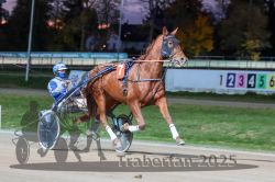 Dateiname=20251026_r08_035_R08_0141.jpg
Dateigröße=282KB
Abmessungen: 1000x667
hinzugefügt am: 29. Oktober 2025 20251026_r08_035_R08_0141.jpg