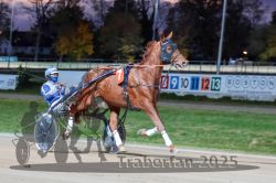 Dateiname=20251026_r08_037_R08_0145.jpg
Dateigröße=284KB
Abmessungen: 1000x667
hinzugefügt am: 29. Oktober 2025 20251026_r08_037_R08_0145.jpg