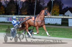 Dateiname=20251026_r08_038_R08_0148.jpg
Dateigröße=282KB
Abmessungen: 1000x667
hinzugefügt am: 29. Oktober 2025 20251026_r08_038_R08_0148.jpg