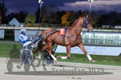 Dateiname=20251026_r08_041_R08_0155.jpg
Dateigröße=262KB
Abmessungen: 1000x667
hinzugefügt am: 29. Oktober 2025 20251026_r08_041_R08_0155.jpg