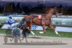 Dateiname=20251026_r08_043_R08_0162.jpg
Dateigröße=282KB
Abmessungen: 1000x667
hinzugefügt am: 29. Oktober 2025 20251026_r08_043_R08_0162.jpg