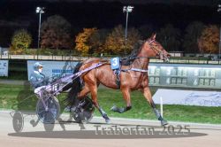 Dateiname=20251026_r09_001_R09_0001.jpg
Dateigröße=309KB
Abmessungen: 1000x667
hinzugefügt am: 29. Oktober 2025 20251026_r09_001_R09_0001.jpg