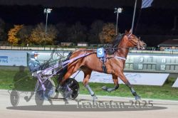 Dateiname=20251026_r09_002_R09_0005.jpg
Dateigröße=291KB
Abmessungen: 1000x667
hinzugefügt am: 29. Oktober 2025 20251026_r09_002_R09_0005.jpg