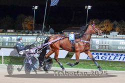 Dateiname=20251026_r09_004_R09_0009.jpg
Dateigröße=290KB
Abmessungen: 1000x667
hinzugefügt am: 29. Oktober 2025 20251026_r09_004_R09_0009.jpg