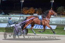 Dateiname=20251026_r09_005_R09_0013.jpg
Dateigröße=296KB
Abmessungen: 1000x667
hinzugefügt am: 29. Oktober 2025 20251026_r09_005_R09_0013.jpg