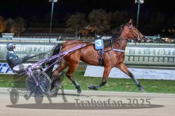 Dateiname=20251026_r09_007_R09_0017.jpg
Dateigröße=288KB
Abmessungen: 1000x667
hinzugefügt am: 29. Oktober 2025 20251026_r09_007_R09_0017.jpg