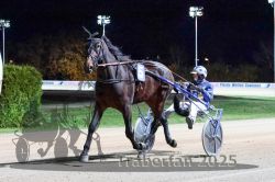 Dateiname=20251026_r09_008_R09_0019.jpg
Dateigröße=316KB
Abmessungen: 1000x667
hinzugefügt am: 29. Oktober 2025 20251026_r09_008_R09_0019.jpg