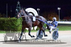 Dateiname=20251026_r09_009_R09_0029.jpg
Dateigröße=325KB
Abmessungen: 1000x667
hinzugefügt am: 29. Oktober 2025 20251026_r09_009_R09_0029.jpg