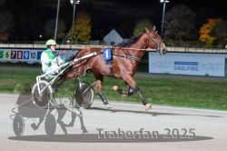 Dateiname=20251026_r09_013_R09_0047.jpg
Dateigröße=254KB
Abmessungen: 1000x667
hinzugefügt am: 29. Oktober 2025 20251026_r09_013_R09_0047.jpg