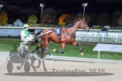 Dateiname=20251026_r09_014_R09_0050.jpg
Dateigröße=270KB
Abmessungen: 1000x667
hinzugefügt am: 29. Oktober 2025 20251026_r09_014_R09_0050.jpg