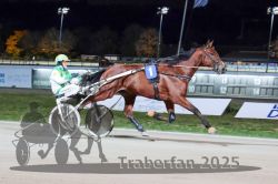 Dateiname=20251026_r09_015_R09_0054.jpg
Dateigröße=261KB
Abmessungen: 1000x667
hinzugefügt am: 29. Oktober 2025 20251026_r09_015_R09_0054.jpg