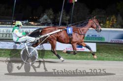 Dateiname=20251026_r09_019_R09_0065.jpg
Dateigröße=269KB
Abmessungen: 1000x667
hinzugefügt am: 29. Oktober 2025 20251026_r09_019_R09_0065.jpg