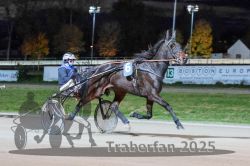 Dateiname=20251026_r09_021_R09_0070.jpg
Dateigröße=291KB
Abmessungen: 1000x667
hinzugefügt am: 29. Oktober 2025 20251026_r09_021_R09_0070.jpg