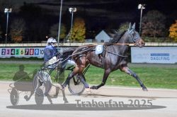 Dateiname=20251026_r09_022_R09_0073.jpg
Dateigröße=295KB
Abmessungen: 1000x667
hinzugefügt am: 29. Oktober 2025 20251026_r09_022_R09_0073.jpg