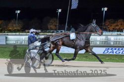 Dateiname=20251026_r09_025_R09_0080.jpg
Dateigröße=262KB
Abmessungen: 1000x667
hinzugefügt am: 29. Oktober 2025 20251026_r09_025_R09_0080.jpg