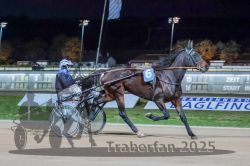 Dateiname=20251026_r09_026_R09_0081.jpg
Dateigröße=275KB
Abmessungen: 1000x667
hinzugefügt am: 29. Oktober 2025 20251026_r09_026_R09_0081.jpg