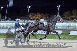 Dateiname=20251026_r09_027_R09_0083.jpg
Dateigröße=273KB
Abmessungen: 1000x667
hinzugefügt am: 29. Oktober 2025 20251026_r09_027_R09_0083.jpg