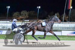 Dateiname=20251026_r09_029_R09_0087.jpg
Dateigröße=287KB
Abmessungen: 1000x667
hinzugefügt am: 29. Oktober 2025 20251026_r09_029_R09_0087.jpg