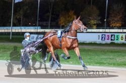 Dateiname=20251026_r09_031_R09_0096.jpg
Dateigröße=310KB
Abmessungen: 1000x667
hinzugefügt am: 29. Oktober 2025 20251026_r09_031_R09_0096.jpg