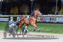 Dateiname=20251026_r09_032_R09_0099.jpg
Dateigröße=317KB
Abmessungen: 1000x667
hinzugefügt am: 29. Oktober 2025 20251026_r09_032_R09_0099.jpg