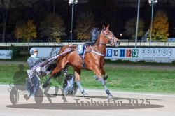 Dateiname=20251026_r09_033_R09_0100.jpg
Dateigröße=316KB
Abmessungen: 1000x667
hinzugefügt am: 29. Oktober 2025 20251026_r09_033_R09_0100.jpg