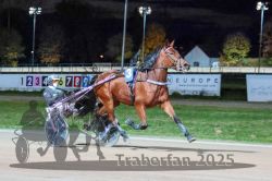 Dateiname=20251026_r09_034_R09_0103.jpg
Dateigröße=292KB
Abmessungen: 1000x667
hinzugefügt am: 29. Oktober 2025 20251026_r09_034_R09_0103.jpg