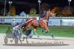 Dateiname=20251026_r09_035_R09_0107.jpg
Dateigröße=293KB
Abmessungen: 1000x667
hinzugefügt am: 29. Oktober 2025 20251026_r09_035_R09_0107.jpg