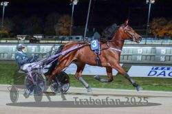 Dateiname=20251026_r09_037_R09_0114.jpg
Dateigröße=276KB
Abmessungen: 1000x667
hinzugefügt am: 29. Oktober 2025 20251026_r09_037_R09_0114.jpg