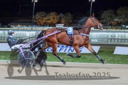 Dateiname=20251026_r09_038_R09_0118.jpg
Dateigröße=279KB
Abmessungen: 1000x667
hinzugefügt am: 29. Oktober 2025 20251026_r09_038_R09_0118.jpg