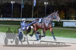 Dateiname=20251026_r09_041_R09_0131.jpg
Dateigröße=297KB
Abmessungen: 1000x667
hinzugefügt am: 29. Oktober 2025 20251026_r09_041_R09_0131.jpg