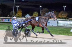 Dateiname=20251026_r09_044_R09_0143.jpg
Dateigröße=297KB
Abmessungen: 1000x667
hinzugefügt am: 29. Oktober 2025 20251026_r09_044_R09_0143.jpg