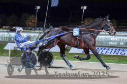 Dateiname=20251026_r09_047_R09_0151.jpg
Dateigröße=276KB
Abmessungen: 1000x667
hinzugefügt am: 29. Oktober 2025 20251026_r09_047_R09_0151.jpg