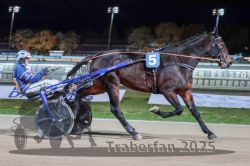 Dateiname=20251026_r09_049_R09_0155.jpg
Dateigröße=278KB
Abmessungen: 1000x667
hinzugefügt am: 29. Oktober 2025 20251026_r09_049_R09_0155.jpg