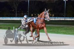 Dateiname=20251026_r09_051_R09_0159.jpg
Dateigröße=271KB
Abmessungen: 1000x667
hinzugefügt am: 29. Oktober 2025 20251026_r09_051_R09_0159.jpg