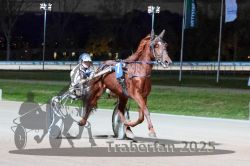 Dateiname=20251026_r09_052_R09_0163.jpg
Dateigröße=276KB
Abmessungen: 1000x667
hinzugefügt am: 29. Oktober 2025 20251026_r09_052_R09_0163.jpg