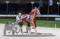 Dateiname=20251026_r09_053_R09_0164.jpg
Dateigröße=284KB
Abmessungen: 1000x667
hinzugefügt am: 29. Oktober 2025 20251026_r09_053_R09_0164.jpg