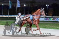 Dateiname=20251026_r09_056_R09_0172.jpg
Dateigröße=291KB
Abmessungen: 1000x667
hinzugefügt am: 29. Oktober 2025 20251026_r09_056_R09_0172.jpg