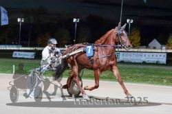 Dateiname=20251026_r09_057_R09_0176.jpg
Dateigröße=262KB
Abmessungen: 1000x667
hinzugefügt am: 29. Oktober 2025 20251026_r09_057_R09_0176.jpg