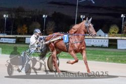 Dateiname=20251026_r09_058_R09_0177.jpg
Dateigröße=293KB
Abmessungen: 1000x667
hinzugefügt am: 29. Oktober 2025 20251026_r09_058_R09_0177.jpg