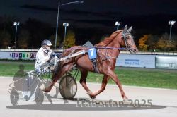 Dateiname=20251026_r09_059_R09_0180.jpg
Dateigröße=267KB
Abmessungen: 1000x667
hinzugefügt am: 29. Oktober 2025 20251026_r09_059_R09_0180.jpg