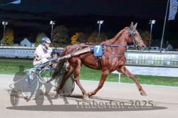 Dateiname=20251026_r09_060_R09_0184.jpg
Dateigröße=280KB
Abmessungen: 1000x667
hinzugefügt am: 29. Oktober 2025 20251026_r09_060_R09_0184.jpg